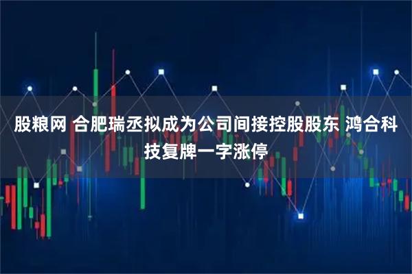 股粮网 合肥瑞丞拟成为公司间接控股股东 鸿合科技复牌一字涨停