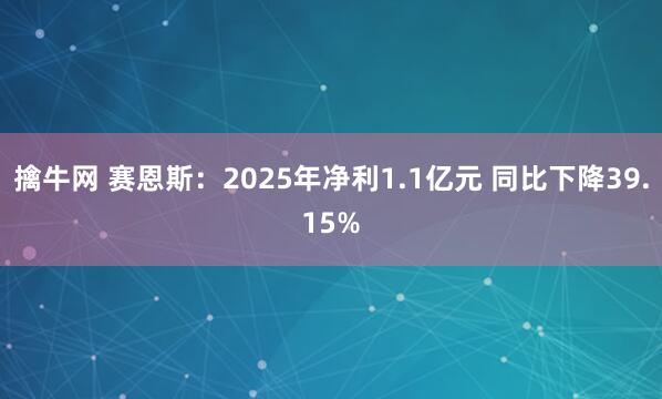 擒牛网 赛恩斯：2025年净利1.1亿元 同比下降39.15%